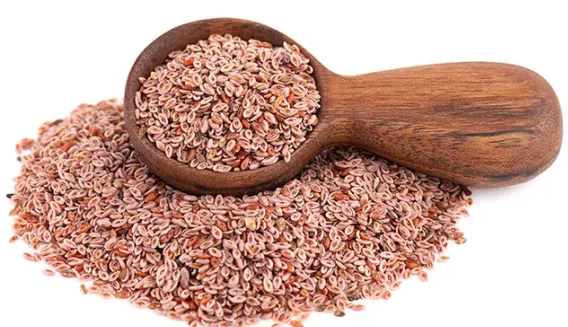 Psyllium